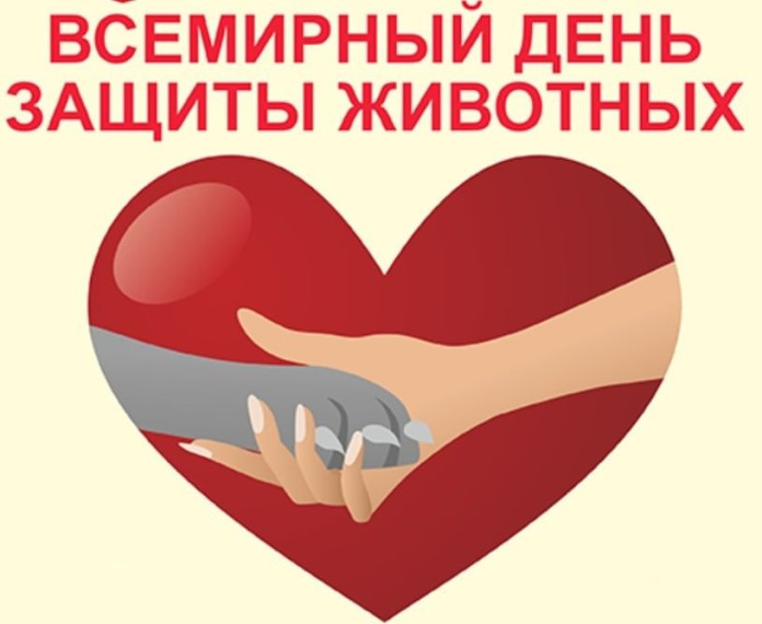 День защиты животных.